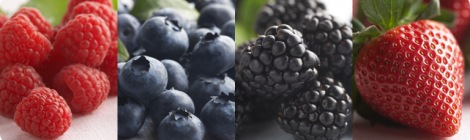 Health Benefits of Berries